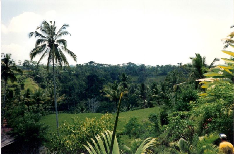 bali0043