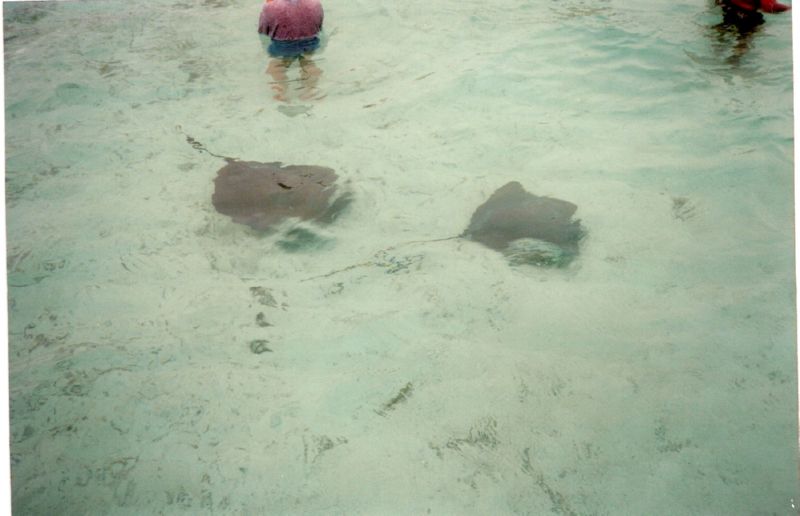 borabora0053